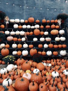 Read more about the article Hauntingly Good Business: How to Use Halloween to Promote Your Franchise?